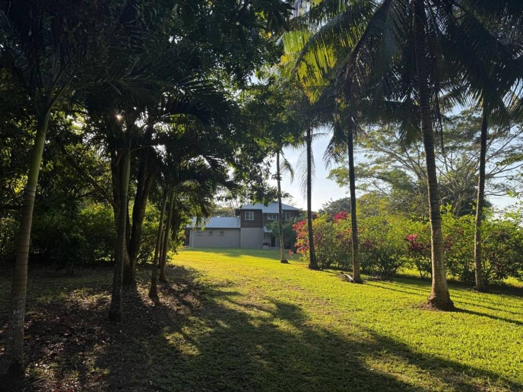 listing image with ID 104397