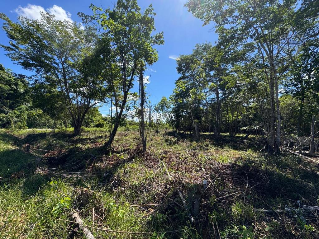 listing image with ID 75975