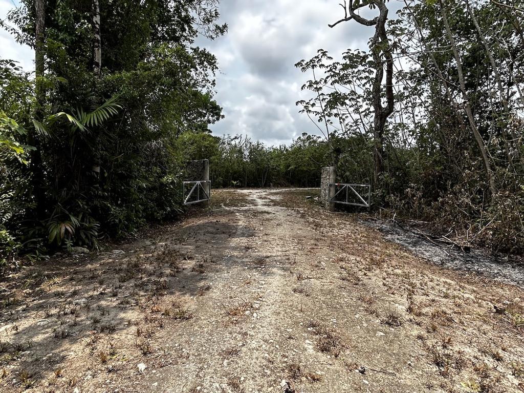 listing image with ID 92328