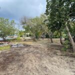 listing image thumbnail with ID 96793