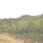 listing image thumbnail with ID 94990