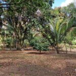 listing image thumbnail with ID 106615