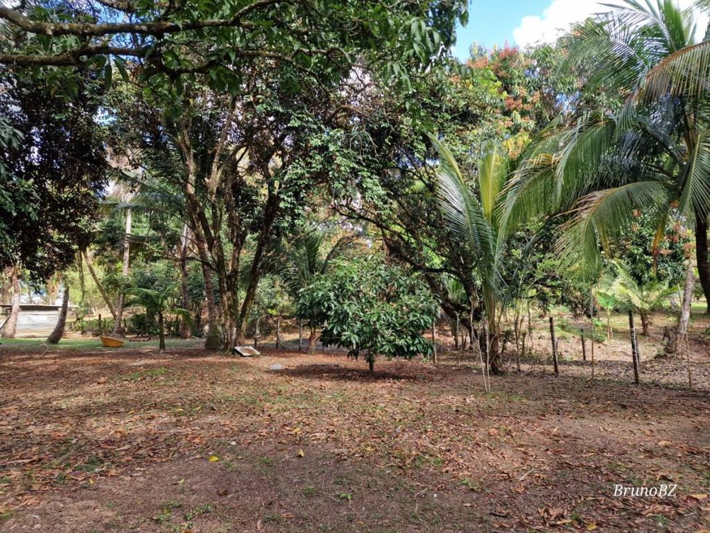 listing image with ID 106615