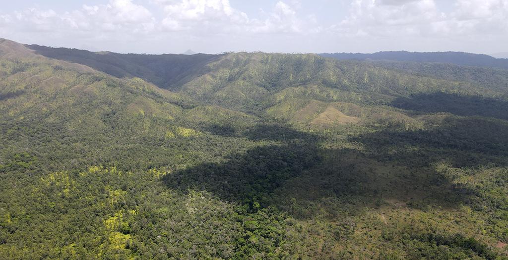 listing image with ID 91499
