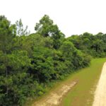 listing image thumbnail with ID 98738