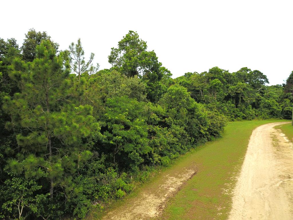 listing image with ID 98738