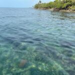 listing image thumbnail with ID 82566