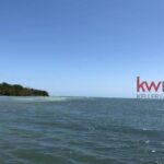 listing image thumbnail with ID 80294