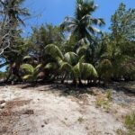 listing image thumbnail with ID 74597