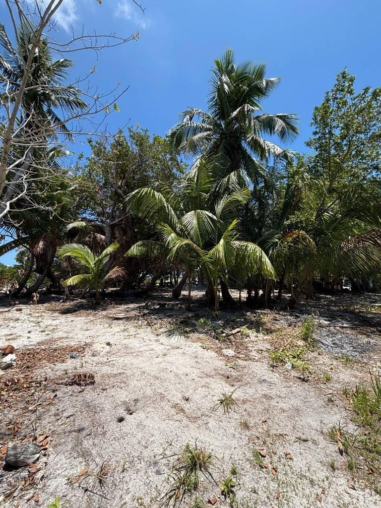 listing image with ID 74597
