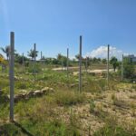 listing image thumbnail with ID 107405
