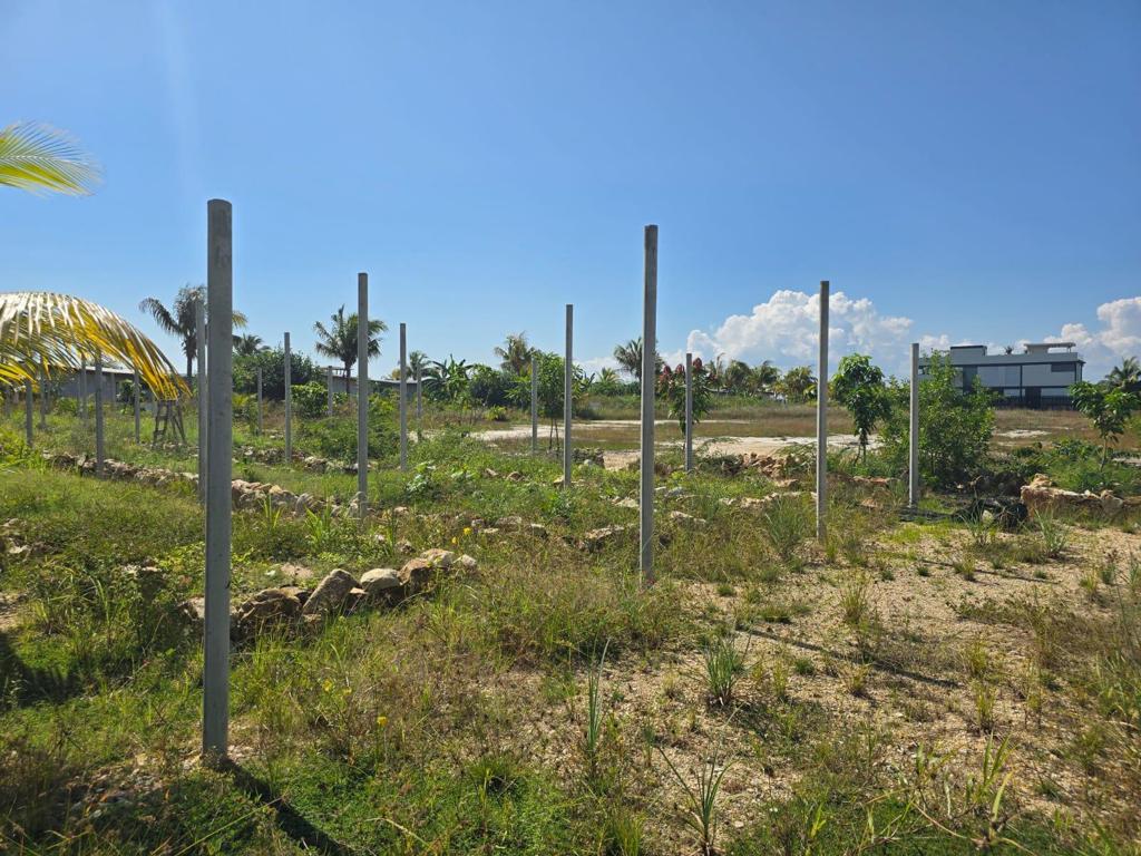 listing image with ID 107405