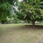 listing image thumbnail with ID 86681