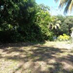 listing image thumbnail with ID 81699