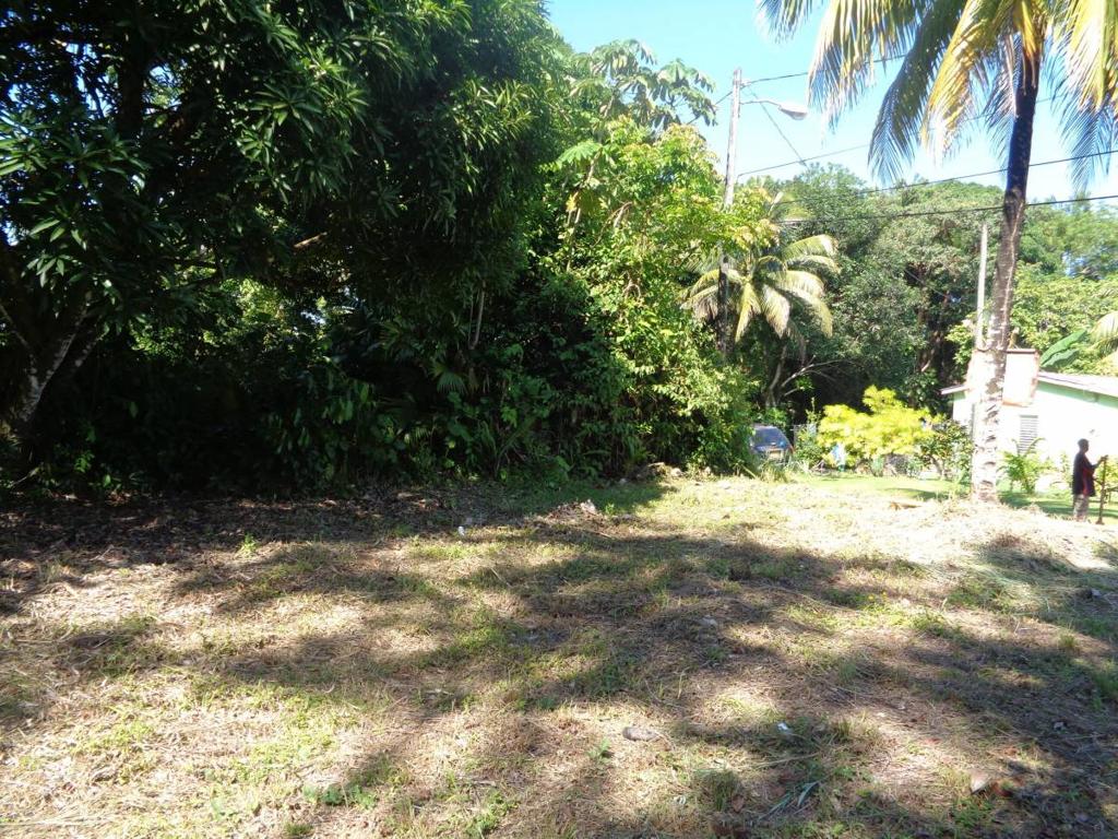 listing image with ID 81699