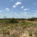 listing image thumbnail with ID 103234