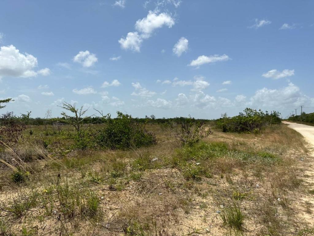 listing image with ID 103234