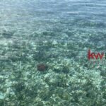 listing image thumbnail with ID 86015