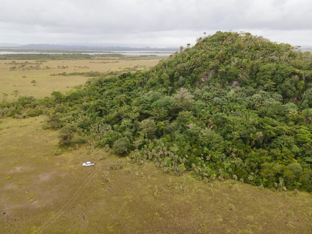 listing image with ID 99446