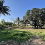 listing image thumbnail with ID 85515
