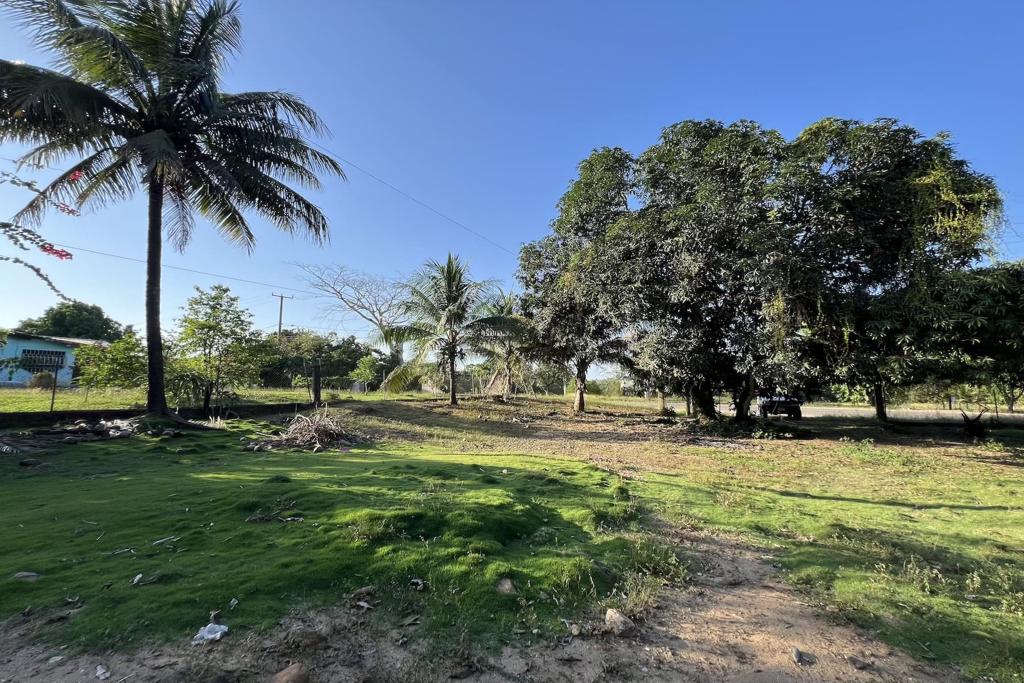 listing image with ID 85515