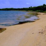 listing image thumbnail with ID 76900
