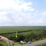 listing image thumbnail with ID 83294