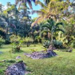 listing image thumbnail with ID 92292