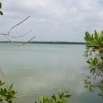 listing image thumbnail with ID 95526