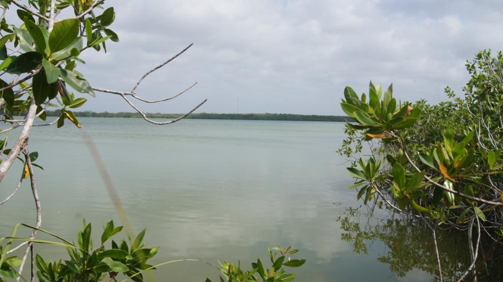listing image with ID 95526
