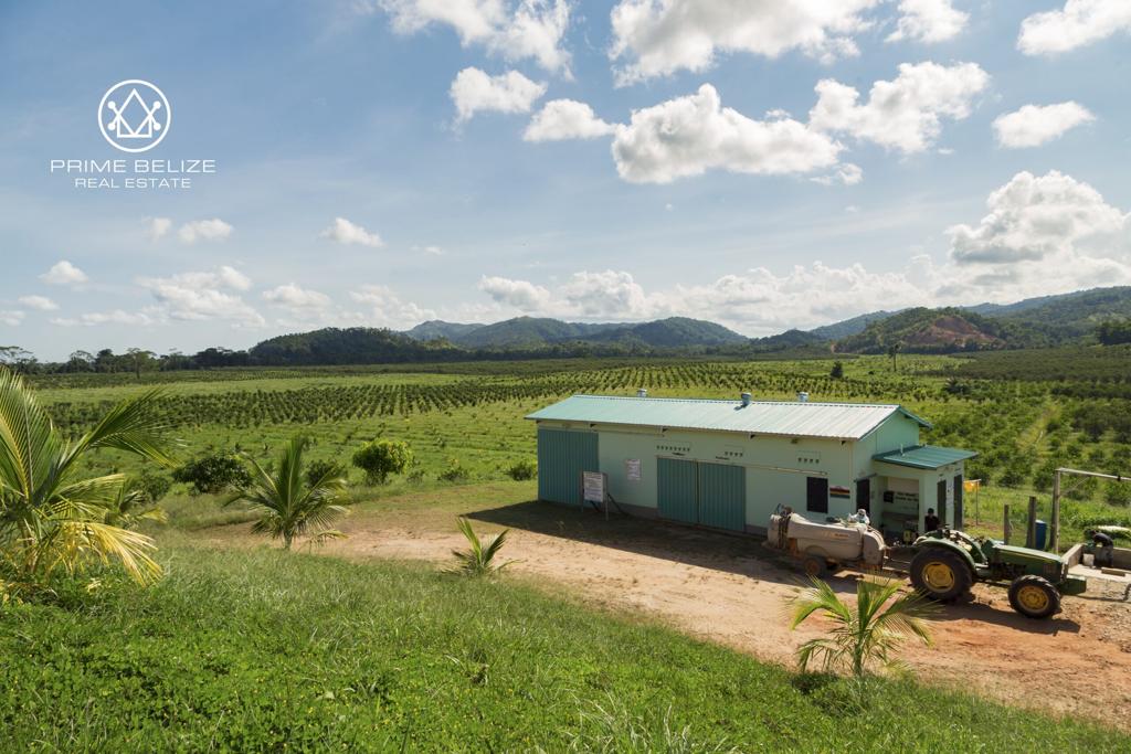 listing image with ID 95512