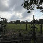 listing image thumbnail with ID 77748
