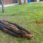 listing image thumbnail with ID 86869