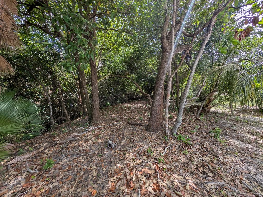 listing image with ID 78367