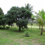 listing image thumbnail with ID 104869