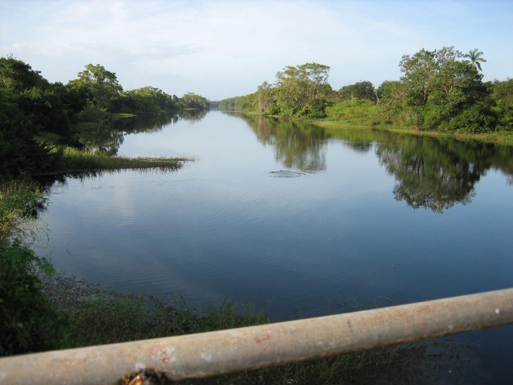 listing image with ID 98289