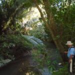 listing image thumbnail with ID 77032