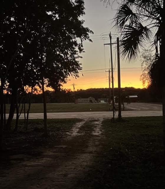 listing image with ID 81211