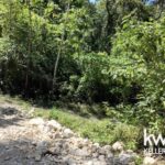 listing image thumbnail with ID 83118