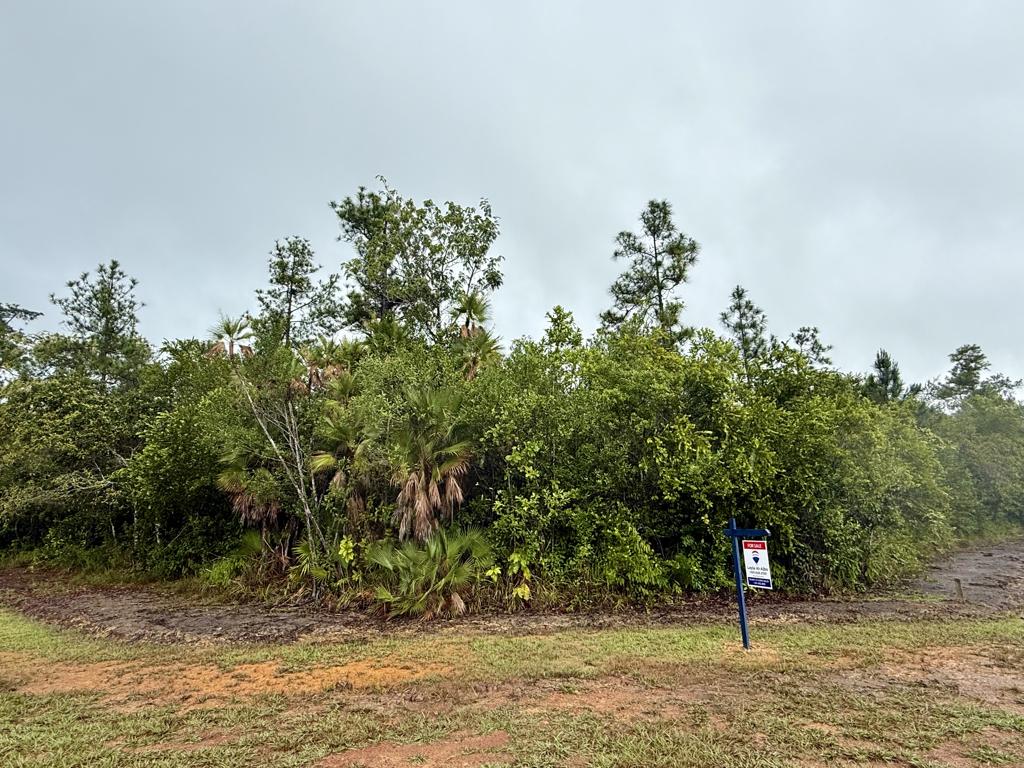 listing image with ID 102686