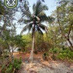 listing image thumbnail with ID 101610