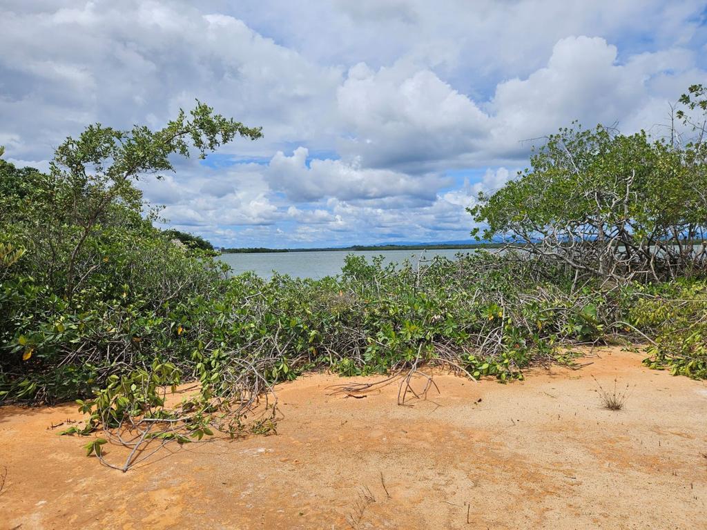 listing image with ID 108067
