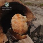 listing image thumbnail with ID 107121