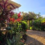 listing image thumbnail with ID 98169