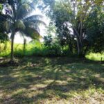 listing image thumbnail with ID 81698