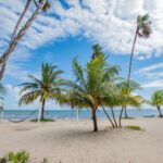 listing image thumbnail with ID 97094
