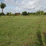 listing image thumbnail with ID 106593