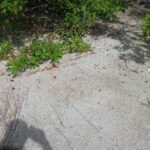 listing image thumbnail with ID 107231