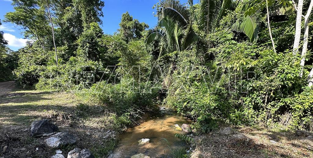 listing image with ID 109083