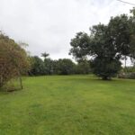 listing image thumbnail with ID 108245